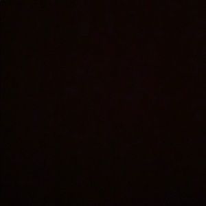 Meet your Posher, Molly